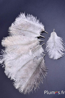 Strauss Bellies - 8-13 cm - natur